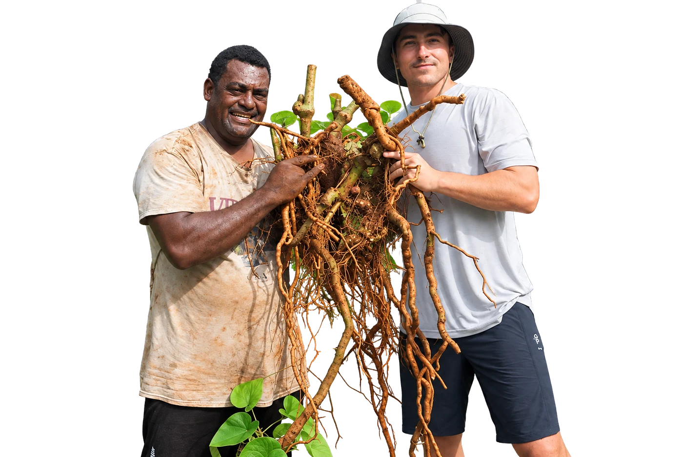 Austin and Pasillio holding a freshly harvested kava plant